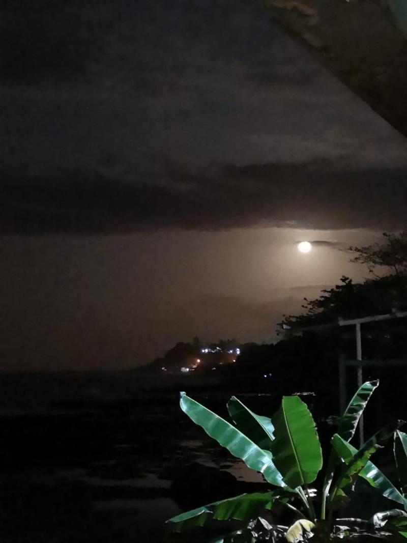 Hotel Playa Bonita 푸에르토 리몬 외부 사진